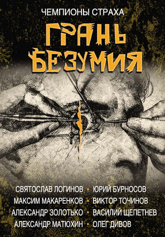 Обложка книги «Грань безумия»