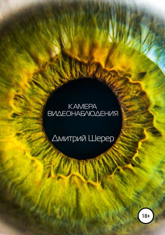Обложка книги «Камера видеонаблюдения»