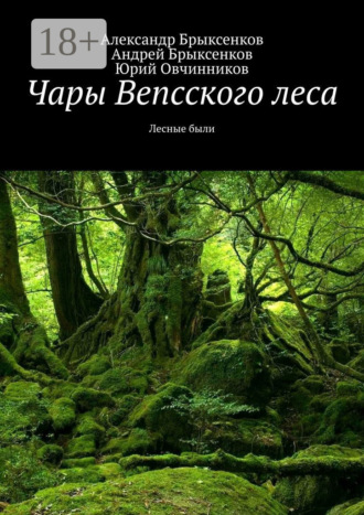 Обложка книги «Чары Вепсского леса. Лесные были»