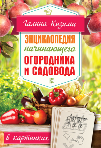 Обложка книги «Энциклопедия начинающего огородника и садовода в картинках»