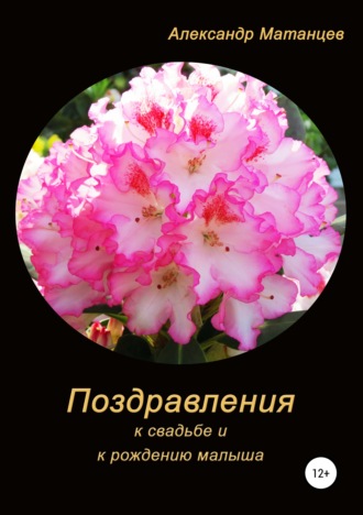 Обложка книги «Поздравления к свадьбе и рождению малыша»