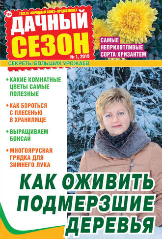 Обложка книги «Дачный сезон №01/2019»