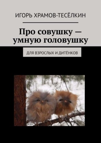 Обложка книги «Про совушку – умную головушку. Для взрослых и дитёнков»