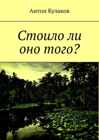 Обложка книги «Стоило ли оно того?»