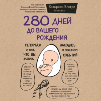 Обложка книги «280 дней до вашего рождения. Репортаж о том, что вы забыли, находясь в эпицентре событий»