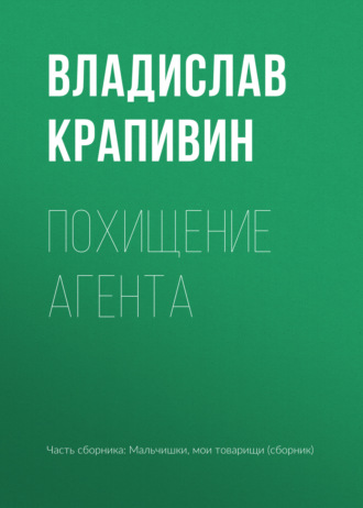 Обложка книги «Похищение агента»