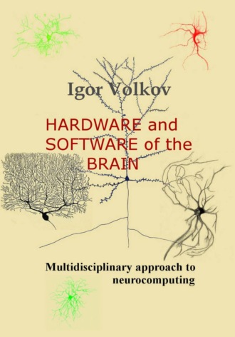 Обложка книги «Hardware and software of the brain»