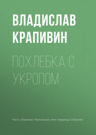 Обложка книги «Похлебка с укропом»