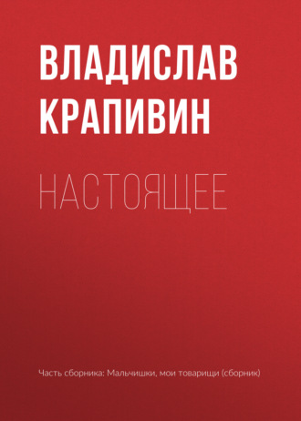 Обложка книги «Настоящее»