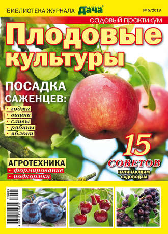 Обложка книги «Библиотека журнала «Моя любимая дача» №05/2019. Садовый практикум. Плодовые культуры»