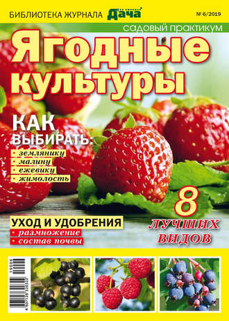 Обложка книги «Библиотека журнала «Моя любимая дача» №06/2019. Садовый практикум. Ягодные культуры»