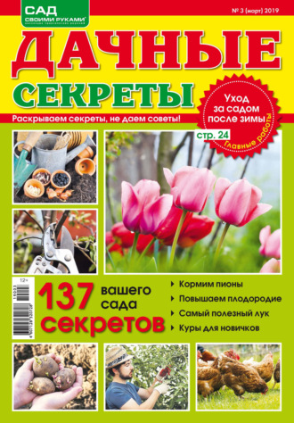 Обложка книги «Сад своими руками. Дачные секреты №03/2019»