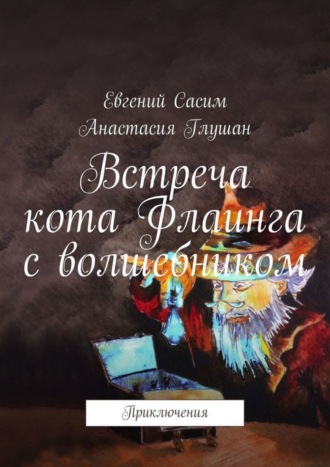 Обложка книги «Встреча кота Флаинга с волшебником. Приключения»