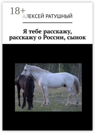 Обложка книги «Я тебе расскажу, расскажу о России, сынок»