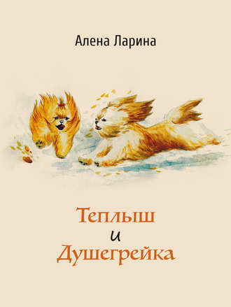 Обложка книги «Теплыш и Душегрейка»
