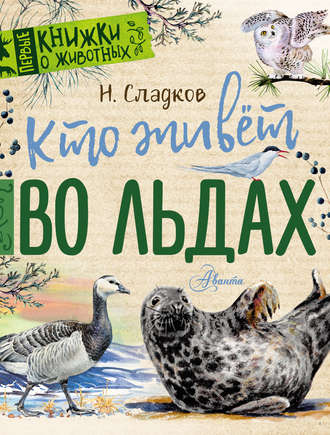 Обложка книги «Кто живёт во льдах. Рассказы»