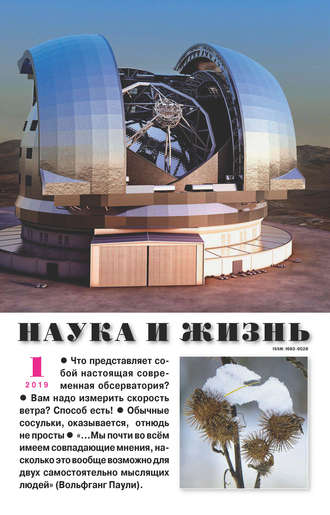 Обложка книги «Наука и жизнь №01/2019»
