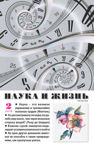 Обложка книги «Наука и жизнь №02/2019»