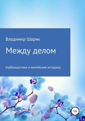 Обложка книги «Между делом (публицистика и житейские истории)»