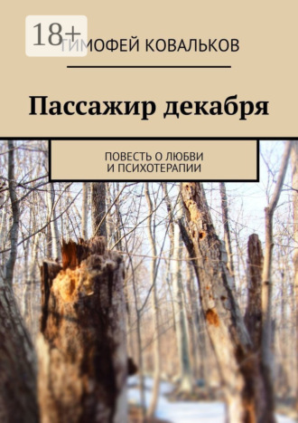 Обложка книги «Пассажир декабря. Повесть о любви и психотерапии»