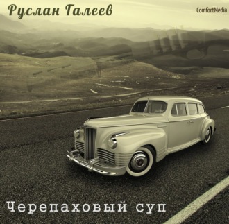Обложка книги «Черепаховый суп»