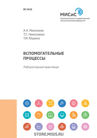 Александр Александрович Николаев. Вспомогательные процессы. Лабораторный практикум