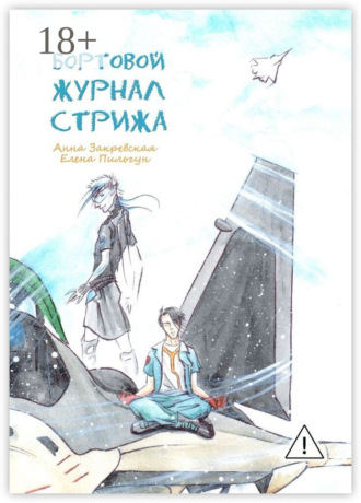 Обложка книги «Бортовой журнал Стрижа»