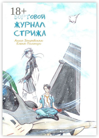 Елена Пильгун. Бортовой журнал Стрижа