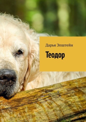Обложка книги «Теодор»