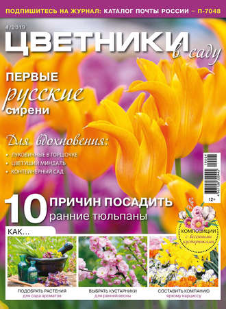 Обложка книги «Цветники в саду №04/2019»