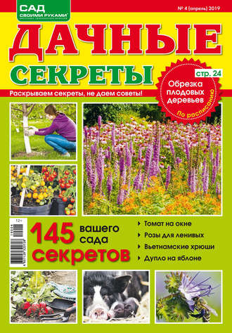 Обложка книги «Сад своими руками. Дачные секреты №04/2019»