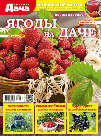 Обложка книги «Любимая дача. Спецвыпуск №04/2019. Ягоды на даче»