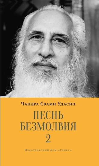 Обложка книги «Песнь безмолвия. Книга 2»