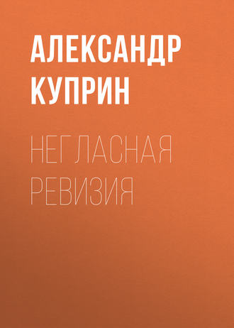 Обложка книги «Негласная ревизия»