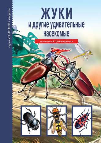 Обложка книги «Жуки и другие удивительные насекомые»