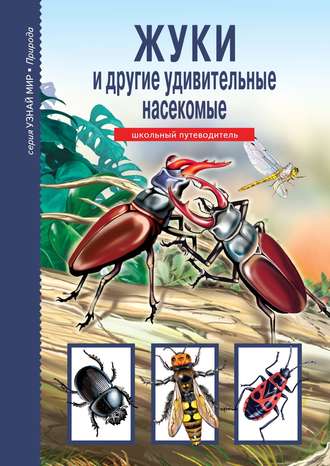 Сергей Афонькин. Жуки и другие удивительные насекомые