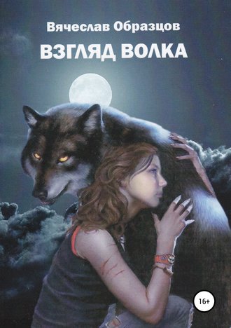 Обложка книги «Взгляд волка»