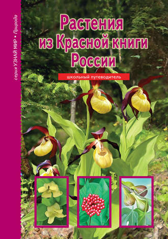 Обложка книги «Растения из Красной книги России»