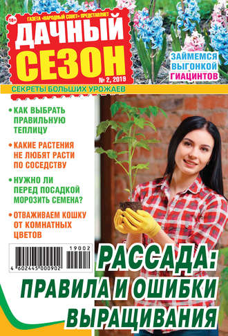 Обложка книги «Дачный сезон №02/2019»