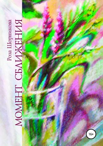 Обложка книги «Момент сближения»