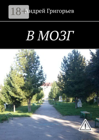 Обложка книги «В мозг»