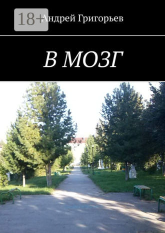 Андрей Григорьев. В мозг
