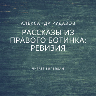 Обложка книги «Ревизия»
