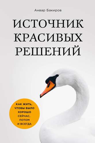 Анвар Бакиров. Источник красивых решений. Как жить, чтобы было хорошо сейчас, потом и всегда