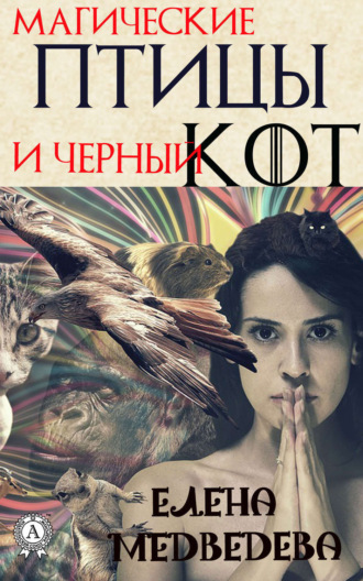 Обложка книги «Магические птицы и чёрный кот»
