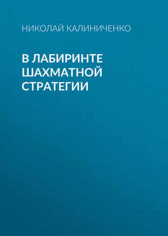 Обложка книги «В лабиринте шахматной стратегии»