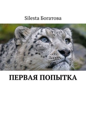 Обложка книги «Первая попытка»