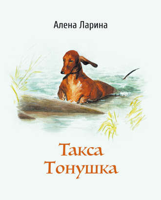 Обложка книги «Такса Тонушка»