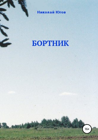 Обложка книги «Бортник»