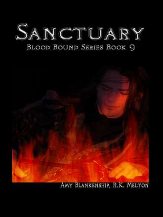 Обложка книги «Sanctuary»